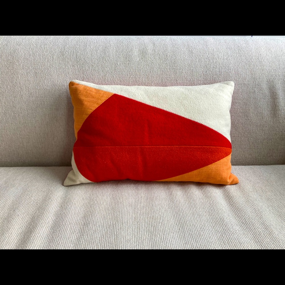 CB2 Sunny Acres Down Pillows (Pair of 2)